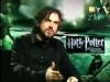 potterish_g4_tv__7028.jpg