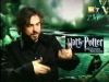 potterish_g4_tv__7___~2.jpg