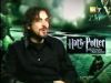 potterish_g4_tv__8250.jpg