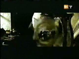 potterish_g4_tv__8876.jpg