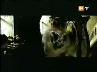 potterish_g4_tv__8877.jpg