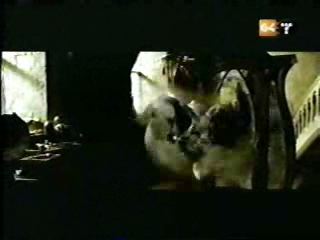 potterish_g4_tv__8878.jpg