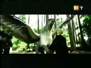 potterish_g4_tv__8885.jpg