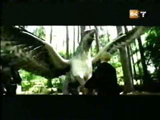 potterish_g4_tv__8887.jpg potterish_g4_tv__8887.jpg