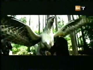 potterish_g4_tv__8888.jpg potterish_g4_tv__8888.jpg
