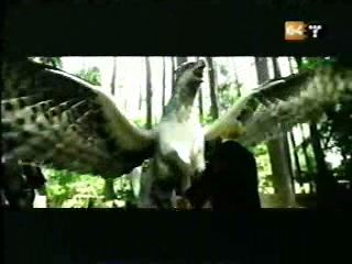 potterish_g4_tv__888_~0.jpg potterish_g4_tv__888_~0.jpg