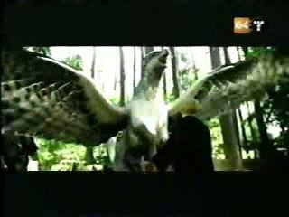 potterish_g4_tv__88_0~0.jpg potterish_g4_tv__88_0~0.jpg