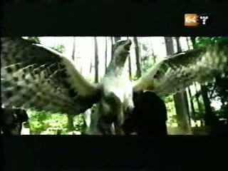 potterish_g4_tv__88_1~0.jpg potterish_g4_tv__88_1~0.jpg