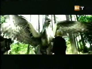 potterish_g4_tv__88_7~0.jpg