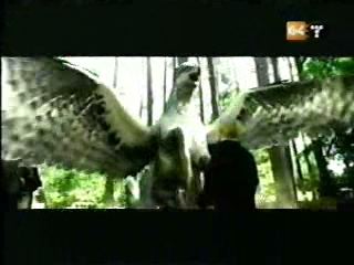 potterish_g4_tv__88__~1.jpg potterish_g4_tv__88__~1.jpg