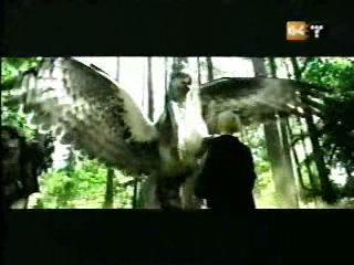 potterish_g4_tv__8_00.jpg
