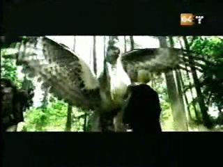 potterish_g4_tv__8_01.jpg