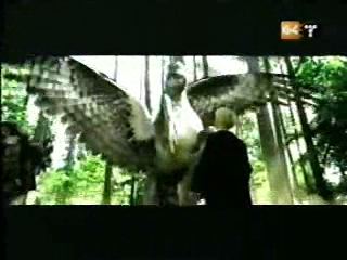 potterish_g4_tv__8_02.jpg