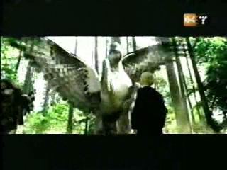 potterish_g4_tv__8_04.jpg potterish_g4_tv__8_04.jpg