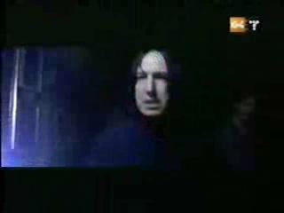 potterish_g4_tv__8_24.jpg potterish_g4_tv__8_24.jpg