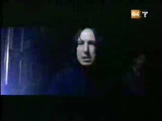 potterish_g4_tv__8_25.jpg potterish_g4_tv__8_25.jpg