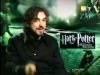 potterish_g4_tv__86_4.jpg