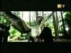 potterish_g4_tv__888_.jpg