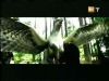 potterish_g4_tv__88_1~0.jpg