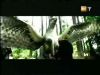 potterish_g4_tv__88_2~0.jpg