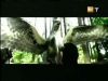potterish_g4_tv__88_5~0.jpg