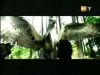 potterish_g4_tv__88_6~0.jpg