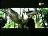 potterish_g4_tv__8_02.jpg