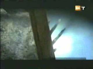 potterish_g4_tv__071_.jpg