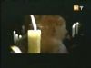 potterish_g4_tv__0517.jpg