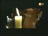 potterish_g4_tv__0520.jpg