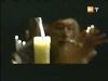 potterish_g4_tv__052_.jpg