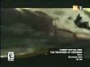 potterish_g4_tv__056_.jpg