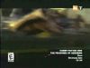 potterish_g4_tv__0570.jpg