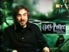 potterish_g4_tv___027.jpg