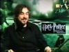 potterish_g4_tv___046.jpg