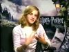 potterish_g4_tv___206.jpg