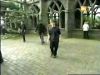 potterish_g4_tv____17.jpg
