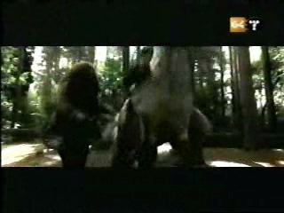 potterish_g4_tv___651.jpg potterish_g4_tv___651.jpg
