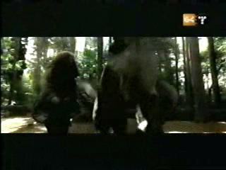 potterish_g4_tv___655.jpg
