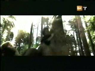 potterish_g4_tv___687.jpg potterish_g4_tv___687.jpg