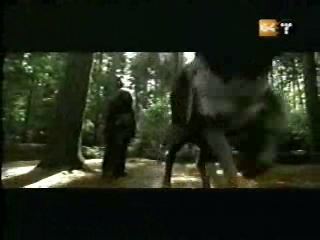 potterish_g4_tv___71_~0.jpg potterish_g4_tv___71_~0.jpg