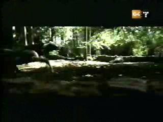 potterish_g4_tv___72_.jpg