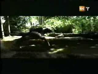 potterish_g4_tv___740.jpg potterish_g4_tv___740.jpg