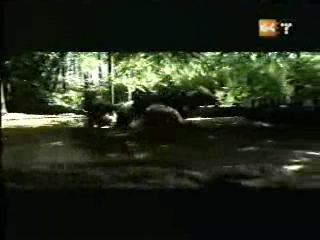 potterish_g4_tv___750.jpg potterish_g4_tv___750.jpg