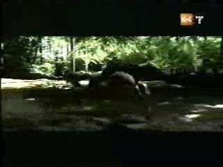 potterish_g4_tv___752.jpg potterish_g4_tv___752.jpg