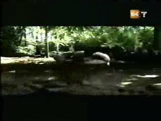 potterish_g4_tv___756.jpg potterish_g4_tv___756.jpg