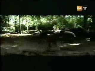 potterish_g4_tv___764.jpg potterish_g4_tv___764.jpg