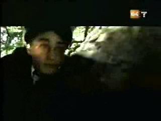 potterish_g4_tv___7_4~0.jpg potterish_g4_tv___7_4~0.jpg