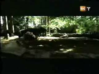 potterish_g4_tv___7_5.jpg potterish_g4_tv___7_5.jpg