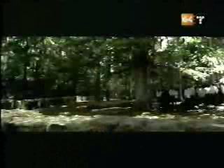 potterish_g4_tv___802.jpg potterish_g4_tv___802.jpg